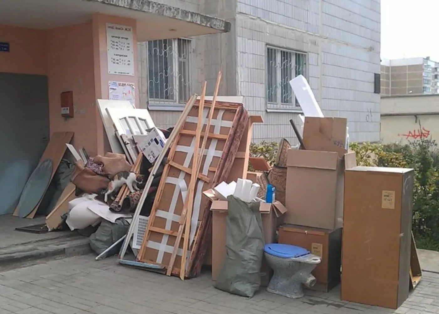 Профессиональный вывоз мусора из квартиры в Дзержинском в октябре