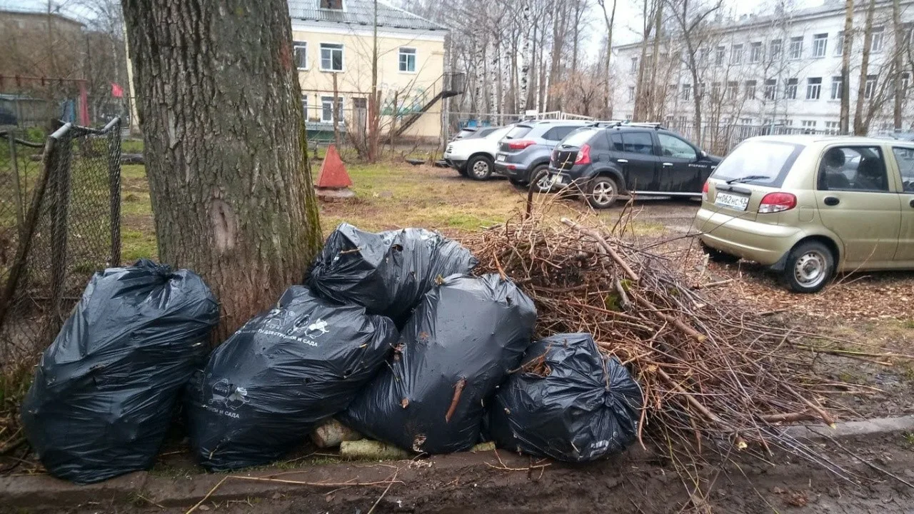 Вывоз мусора после субботника в Дзержинском от ПроМусор – уборка и утилизация отходов от 2405 руб