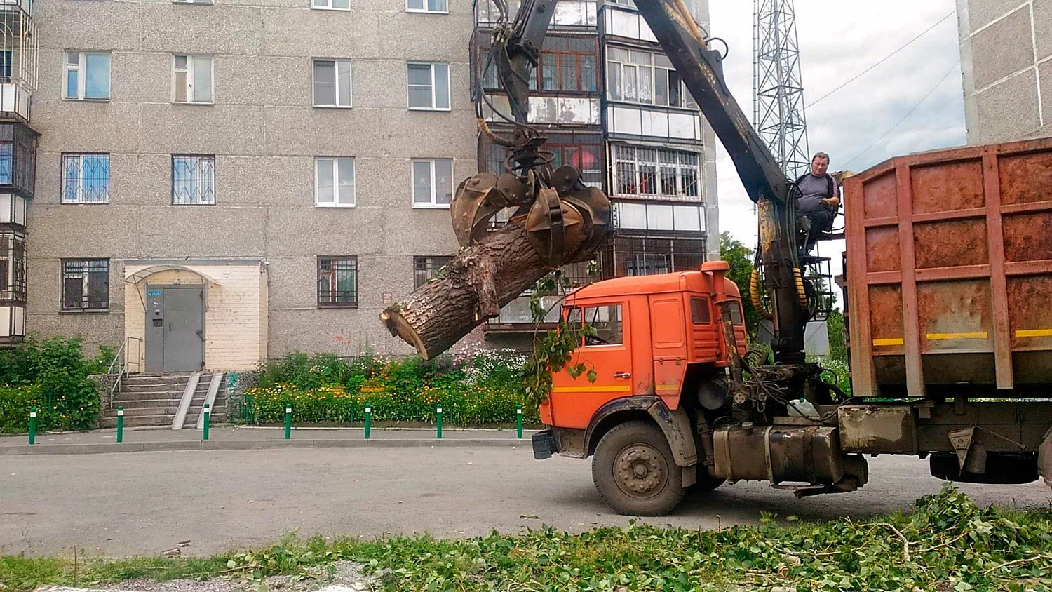 Вывоз спиленных веток и деревьев в Дзержинском от ПроМусор: порубочные остатки, утилизация, цена от 2968 руб