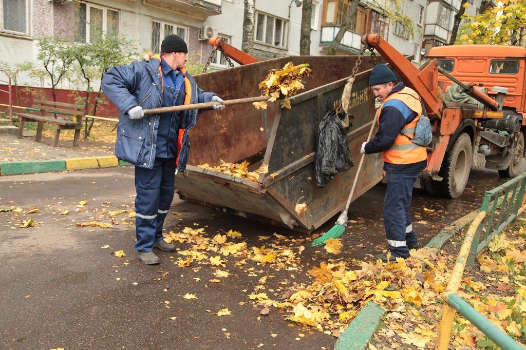 Вывоз опавшей листвы и растительного мусора в Дзержинском от ПроМусор – цена от 4605 руб., быстрая уборка и утилизация